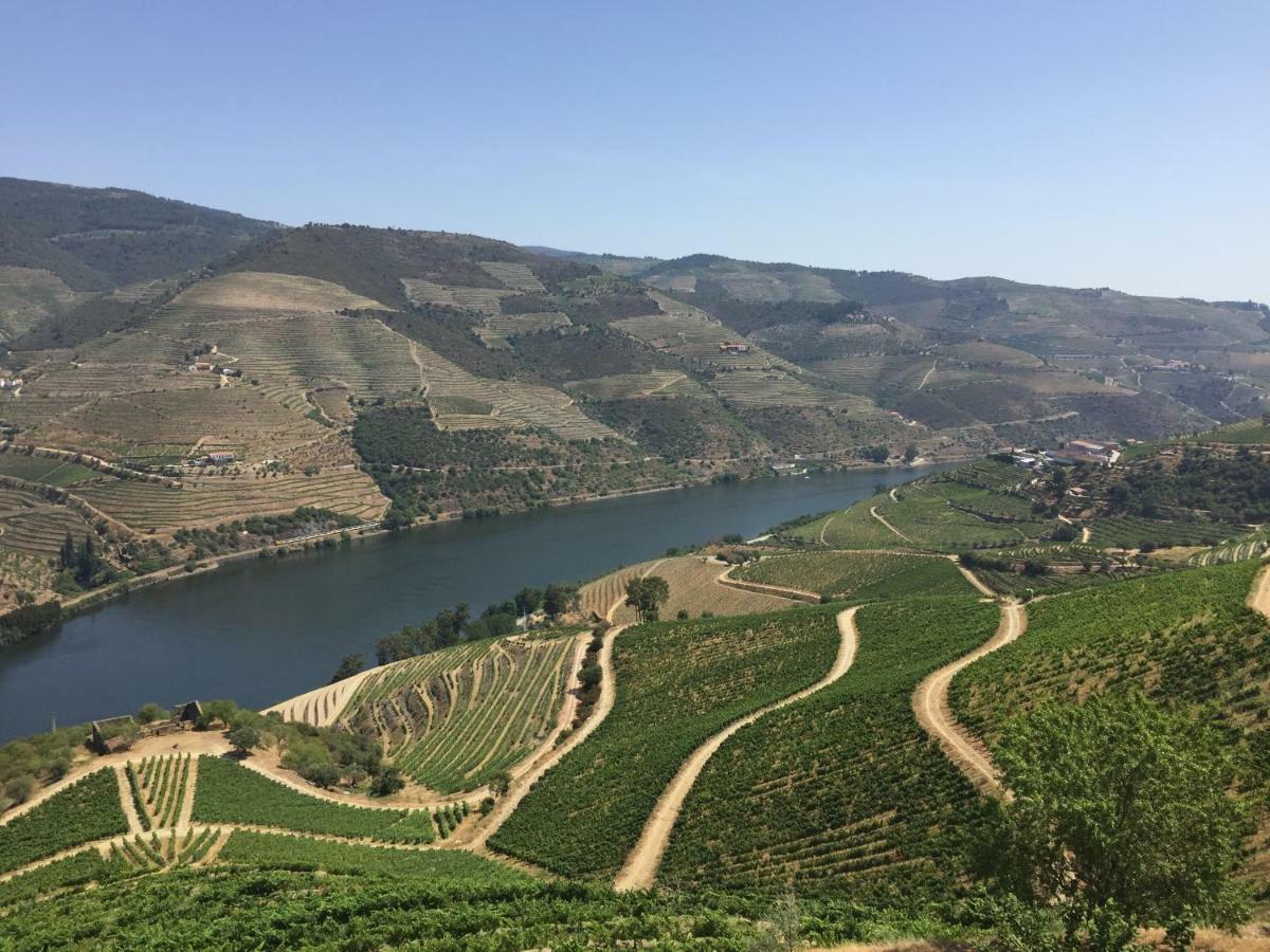 Refugio D'Anita Douro Valley House Barcos エクステリア 写真