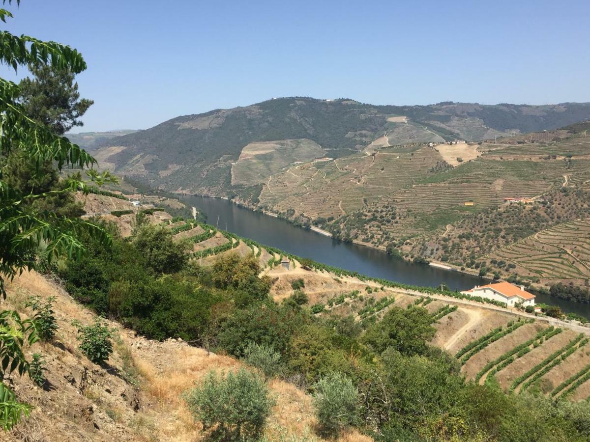 Refugio D'Anita Douro Valley House Barcos エクステリア 写真